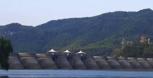 嵩县城关镇万亩中药材田园综合体