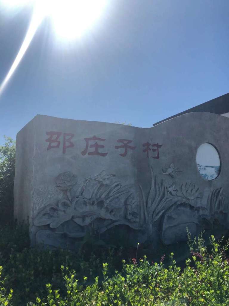雄安核心区唯一的湖中岛村—邵庄子村鸟瞰图.